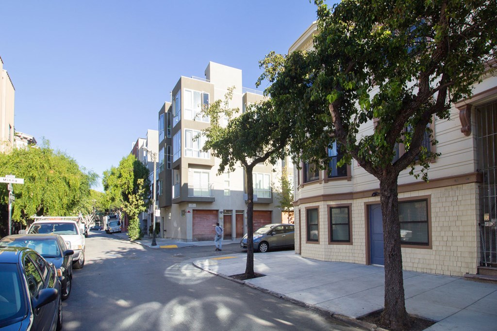 A tree is in front of a building with a blue car parked on the street.