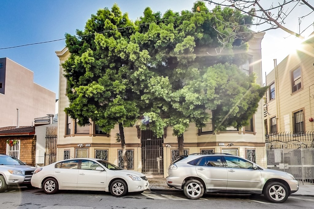 Two cars parked in front of a building with a large tree in the background.