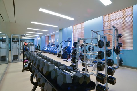 A gym with a variety of equipment including dumbbells and weight machines.