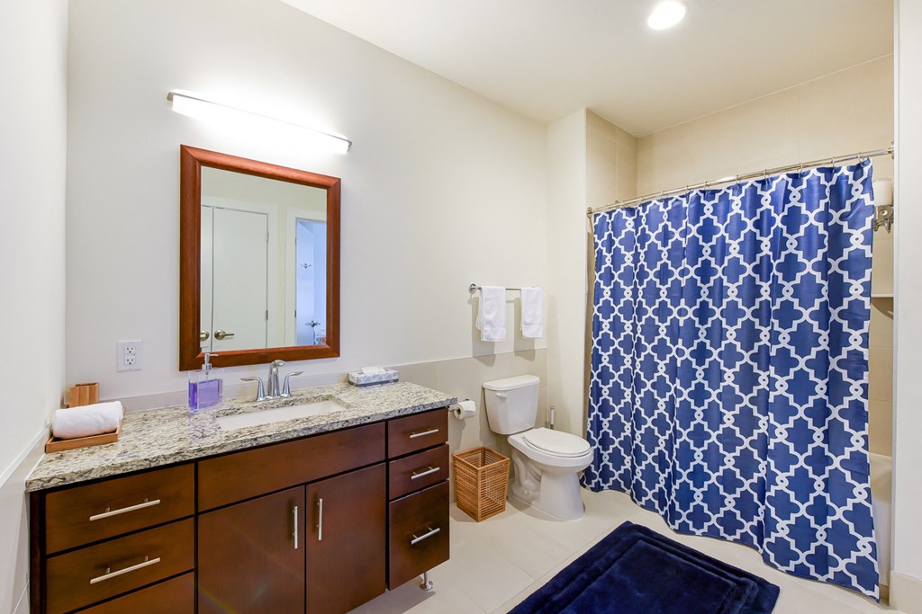 a bathroom with a blue and white shower curtain and a toilet
