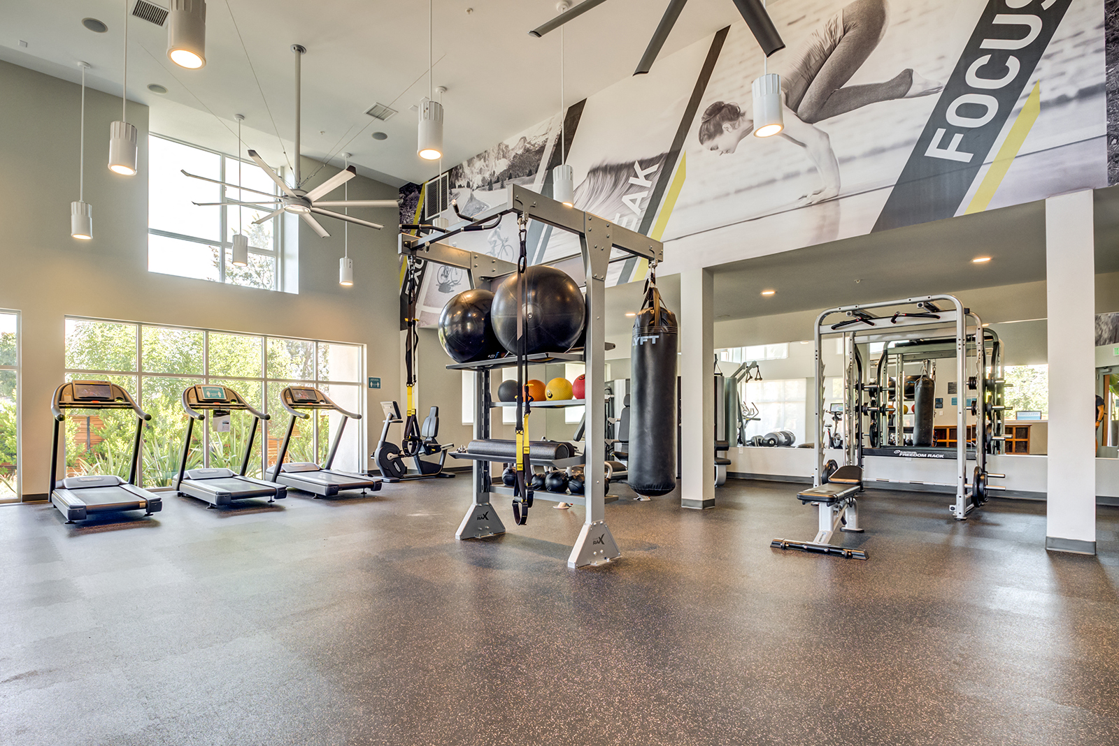 Apartments for Rent in Sunnyvale-6TenEast-Fitness Center with Overhead Lighting, Ceiling Fans, Workout Equipment, and Large Windows