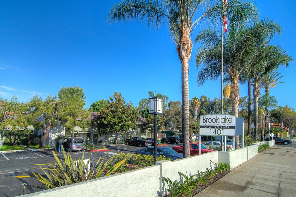 a parking lot with palm trees and a sign for a bookstore