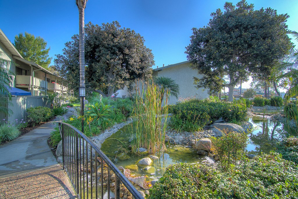 a garden with a pond and trees in front of a building