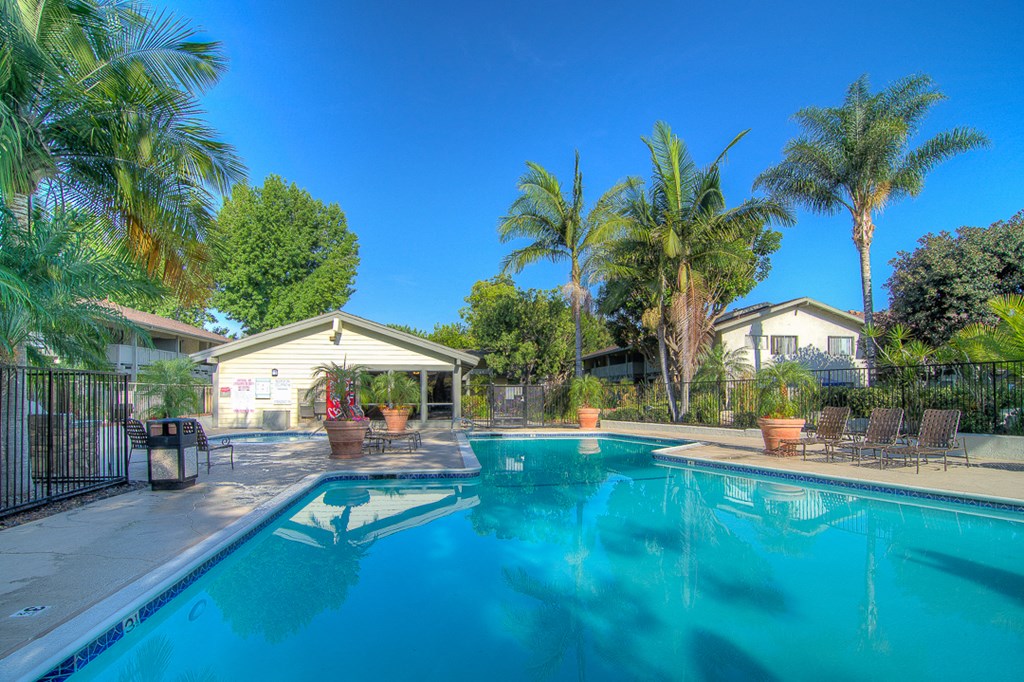 a swimming pool with palm trees in front of a house