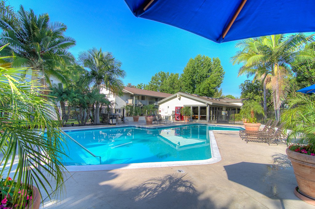 a swimming pool with palm trees in front of a house