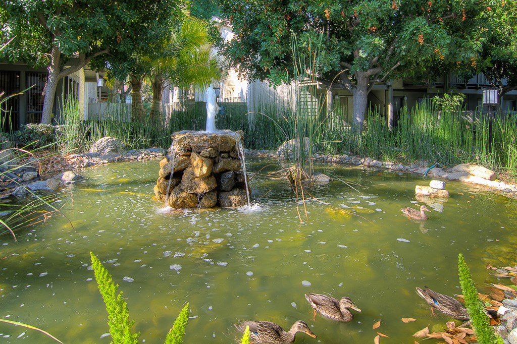 a fountain in the middle of a pond with ducks in it