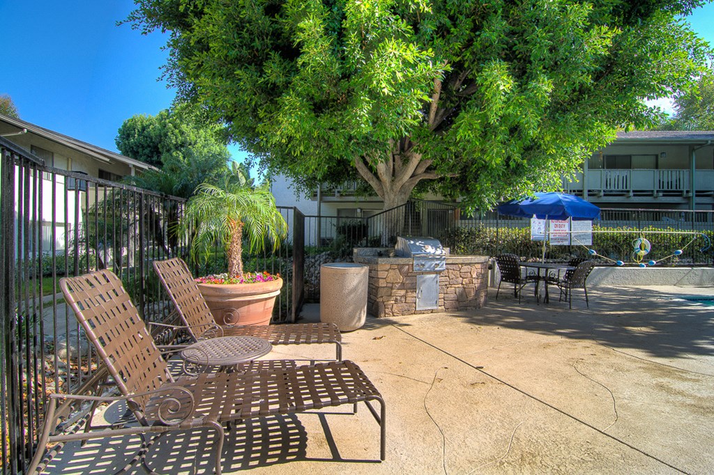 a patio with tables and chairs in front of a tree