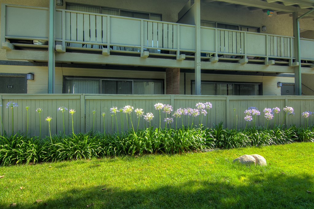 the back yard of an apartment building with flowers