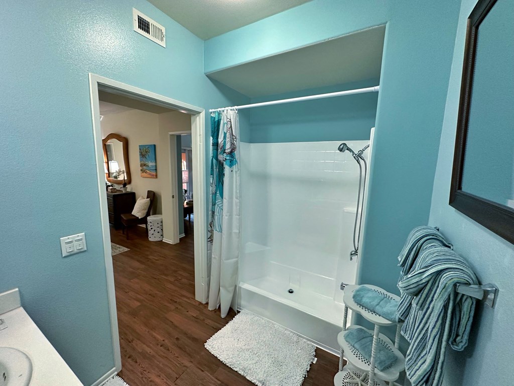 a bathroom with a shower and a sink and a mirror