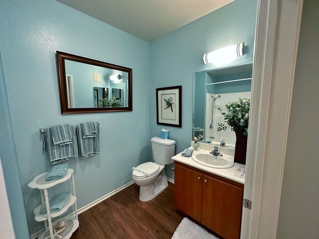 a bathroom with a sink toilet and a mirror