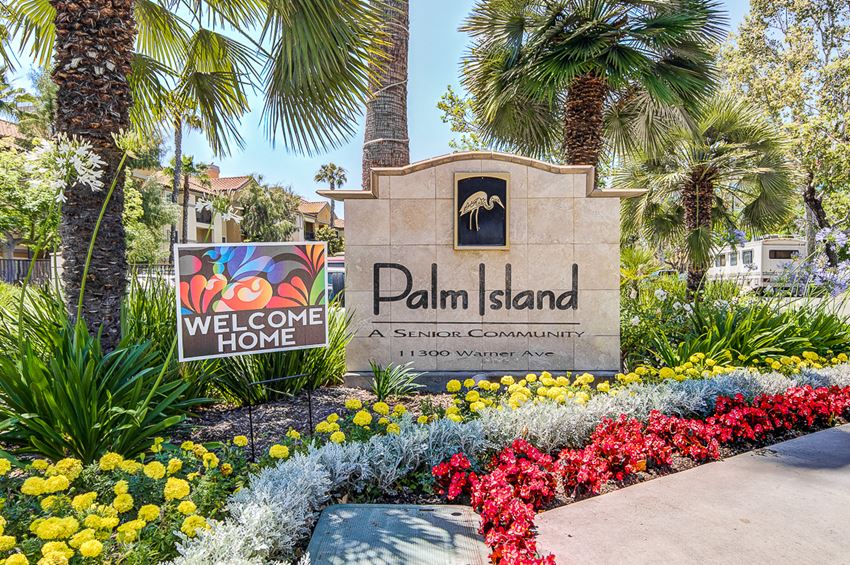 11300 Warner Ave Studio-2 Beds Apartment for Rent - Photo Gallery