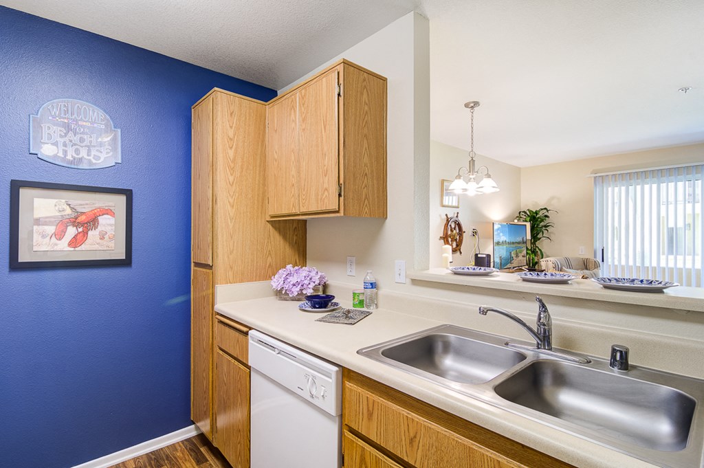 an apartment kitchen with a sink and a window