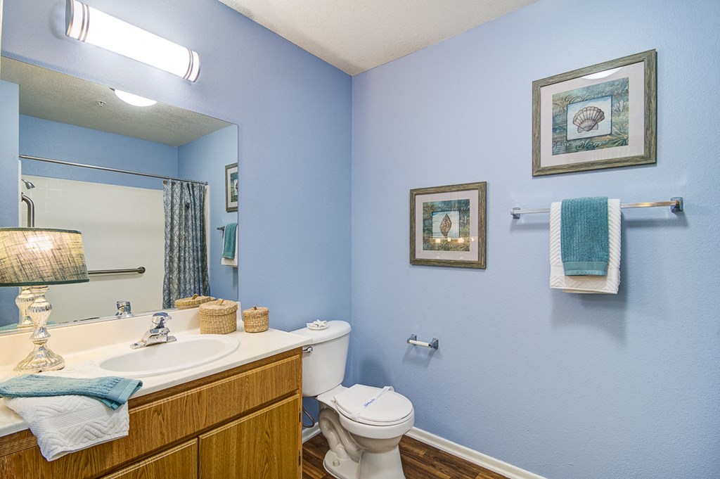a bathroom with blue walls and a white toilet and sink