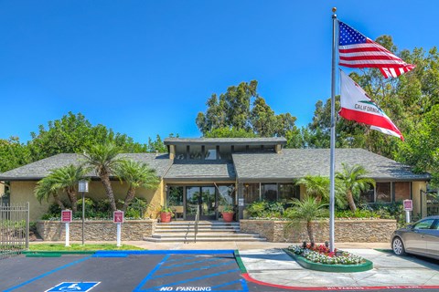 an flag flies in front of a building with palm trees