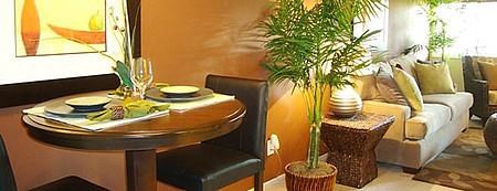 a living room with a table and a couch