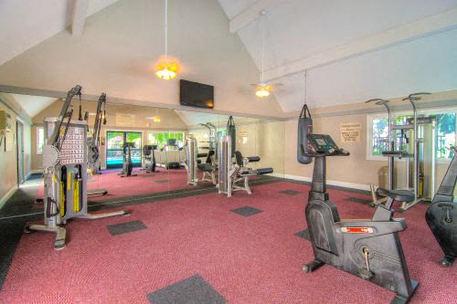 a gym with a lot of exercise equipment in it