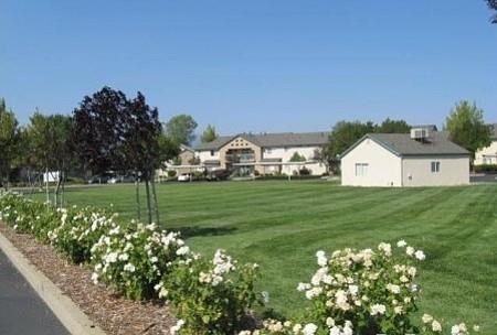 a field of flowers in front of a house