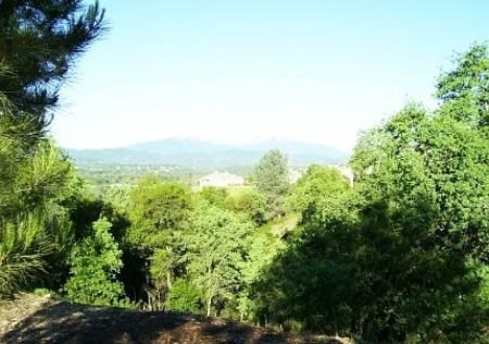 a view of a forest and mountains in the distance