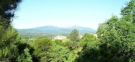 a view of trees and mountains in the distance