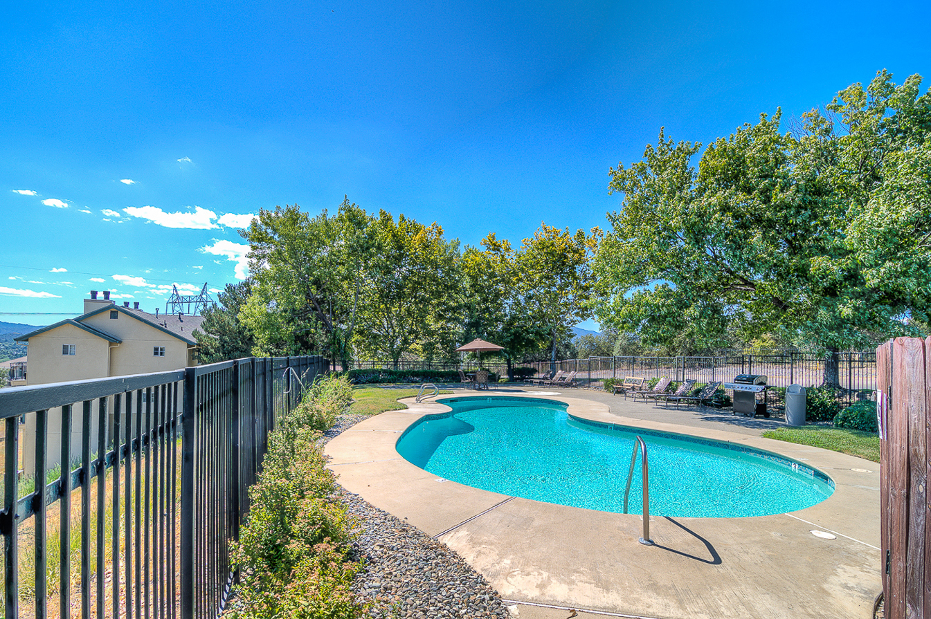 the pool at the preserve at polk apartments with trees and a pool