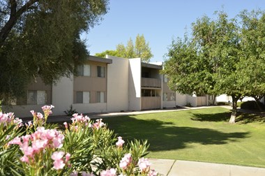 1030 S Dobson Studio-1 Bed Apartment for Rent