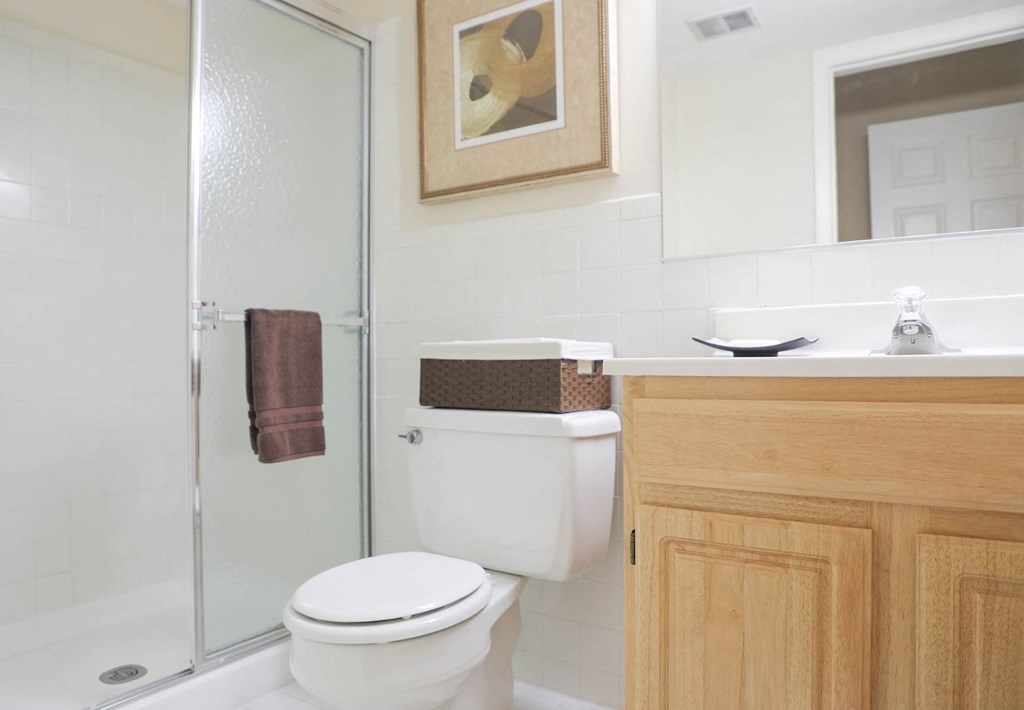 Luxurious Bathroom at St. Charles at Olde Court Apartments, Pikesville
