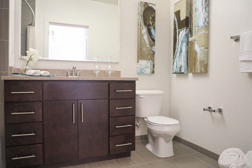 Mocha Style Bath at Metro Crossing Apartments, Maryland, 21117