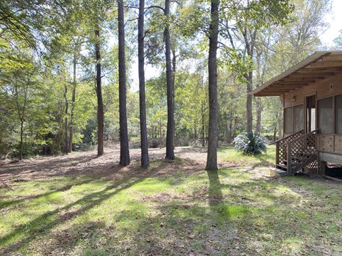 a house in the woods with trees