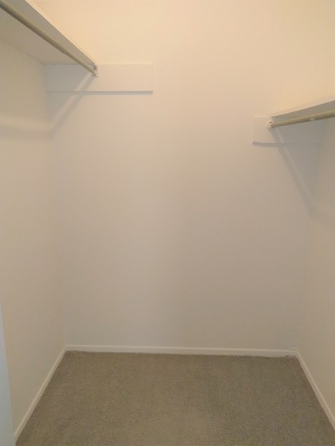 a room with two shelves on the wall and a carpet