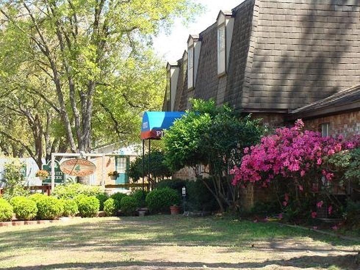 a house with a pink flowering in front of it