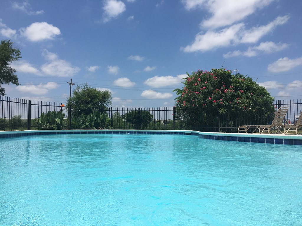 a large swimming pool with a blue sky in the background