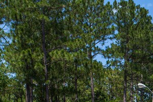 eBrochure | Crystal Lake Apartments in Pensacola, FL