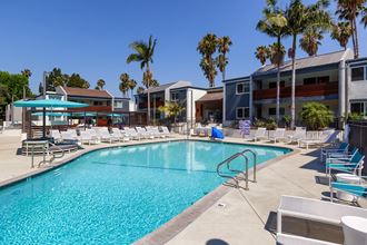 Pool View at Beverly Plaza Apartments, Long Beach, CA - Photo Gallery 3