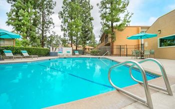 Swimming Pool And Sundeck at Redlands Park Apts, Redlands, CA