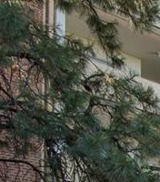 Apartments In Albuquerque Nm The Towers