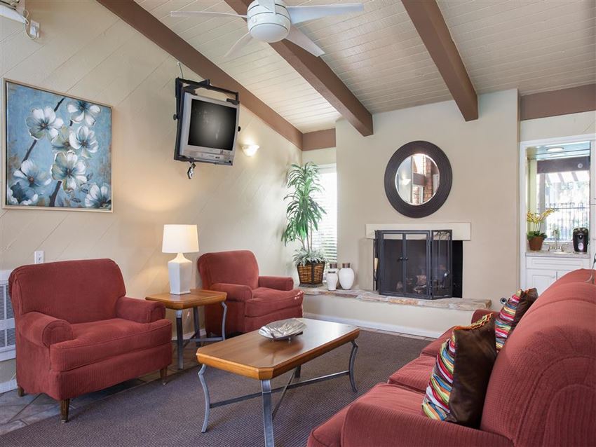 a living room with couches and a tv and a fireplace