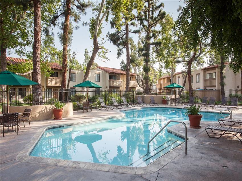 our apartments have a resort style swimming pool