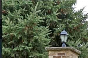 a sign for ridgeway estates townhomes in the grass