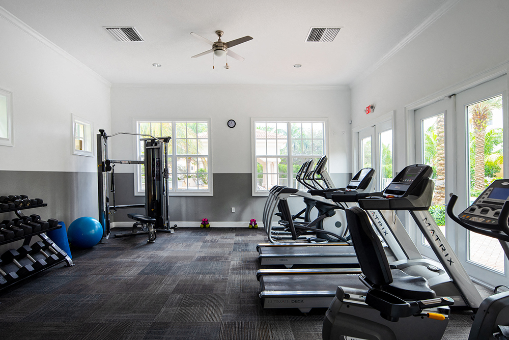 the gym has plenty of cardio equipment and windows