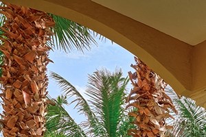a balcony with two chairs and palm trees