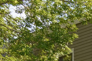 2030 Lydia Ave E 1 Bed Apartment, Affordable, Senior Housing, Section 8, Wait and Interest List Open for Rent - Photo Gallery 3