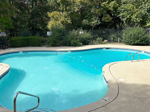 a blue swimming pool in a park with trees