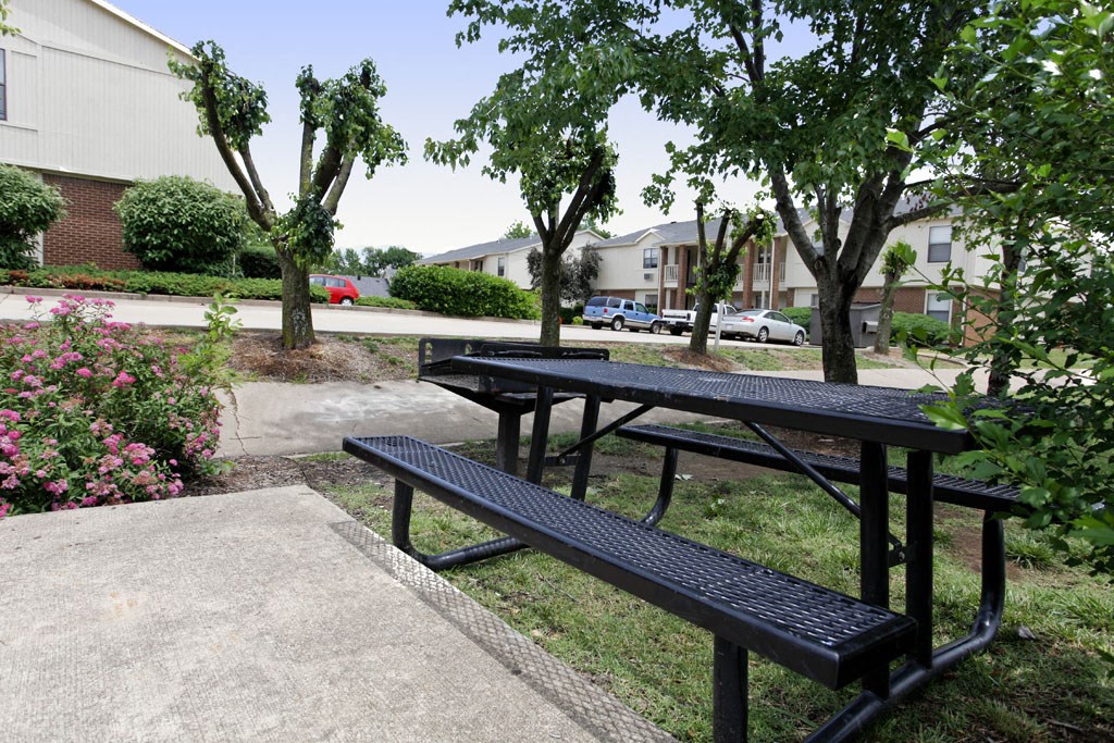 two benches in a park with trees and houses