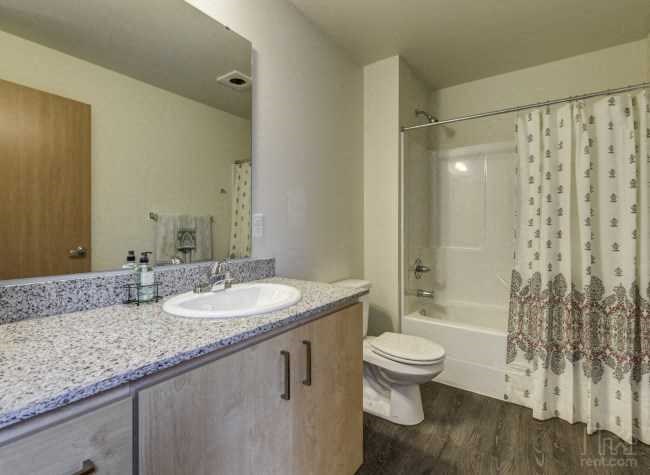 a bathroom with a sink toilet and a shower