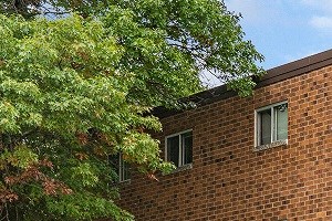 413 7th Street North 2 Beds Apartment for Rent - Photo Gallery 3