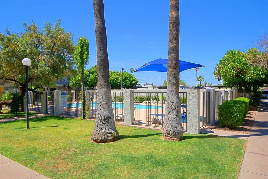 a swimming pool with a fence and palm trees