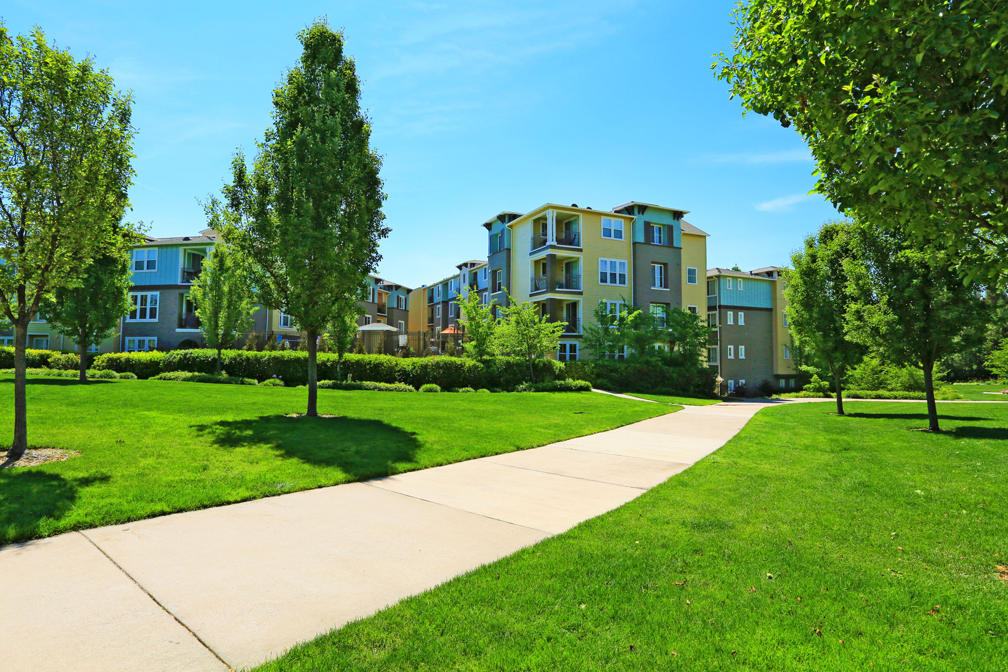 Walnut Creek, CA Apartments for Rent Ivy Hill Apts