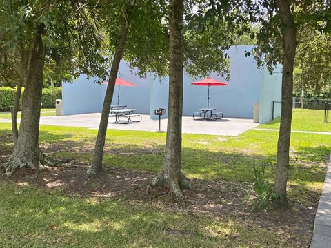 A park with trees, benches, and umbrellas.
