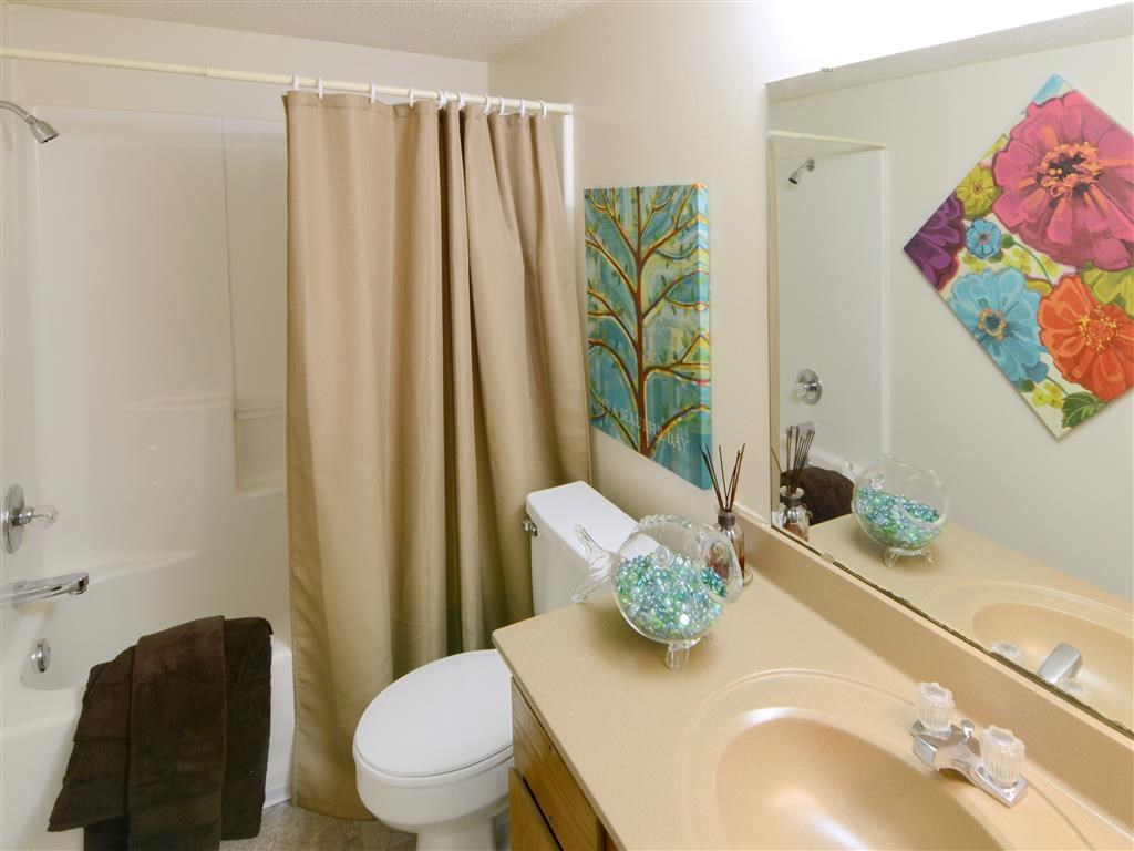 a bathroom with a sink and a toilet and a shower