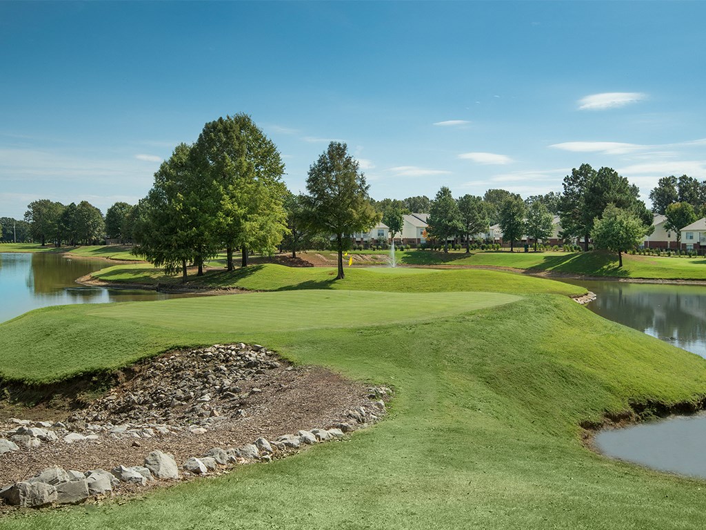 a view of a golf course with a pond and trees